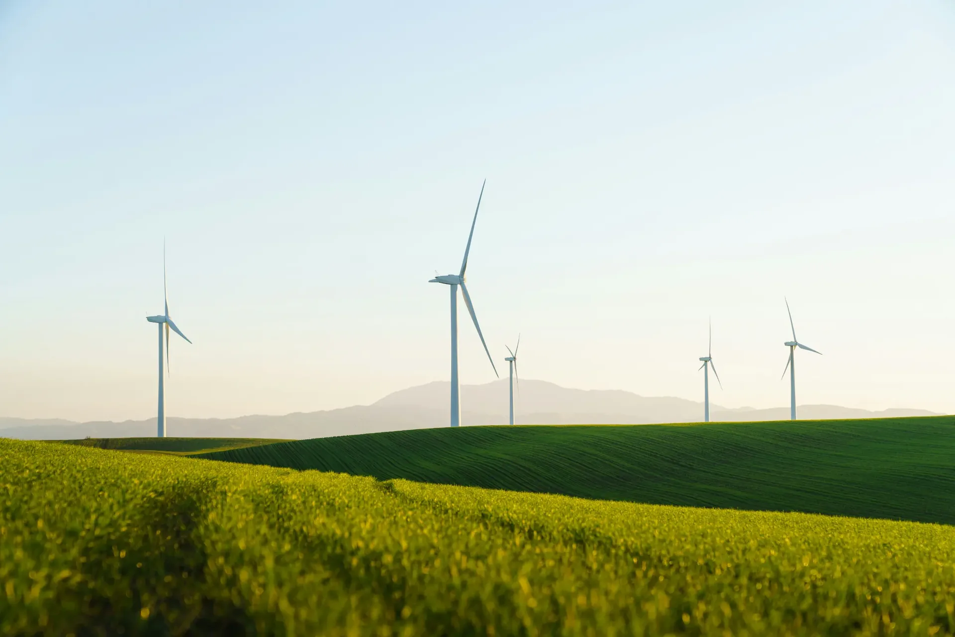 Unternehmen mit Energieueberschuss